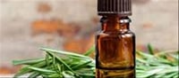 10 Amazing Benefits of Rosemary for Skin and Hair